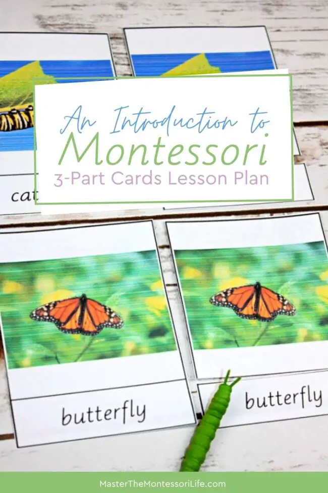 You will be amazed at how creative activities for children can be when they learn more using these Montessori 3-part cards, not to mention how their independence will soar!