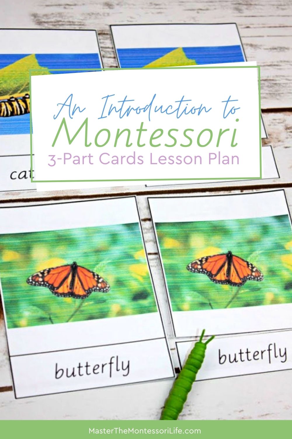 an-introduction-to-montessori-3-part-cards-master-the-montessori-life