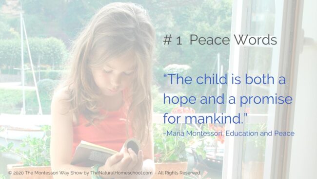 Practical Life: Fostering Peace the Montessori Way [Live Training] In this post, live training and podcast episode, I am going to give you 3 tips to: teach, model and grow peace in our lives the Montessori way. #montessoricurriculum3-6 #themontessoriway #practicallife #howtoexplainpeacetoachild