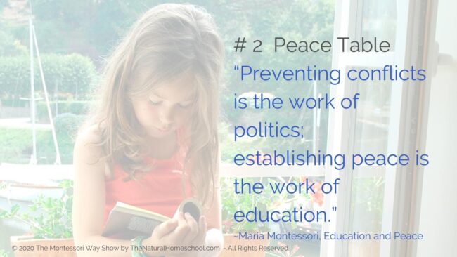 Practical Life: Fostering Peace the Montessori Way [Live Training] In this post, live training and podcast episode, I am going to give you 3 tips to: teach, model and grow peace in our lives the Montessori way. #montessoricurriculum3-6 #themontessoriway #practicallife #howtoexplainpeacetoachild