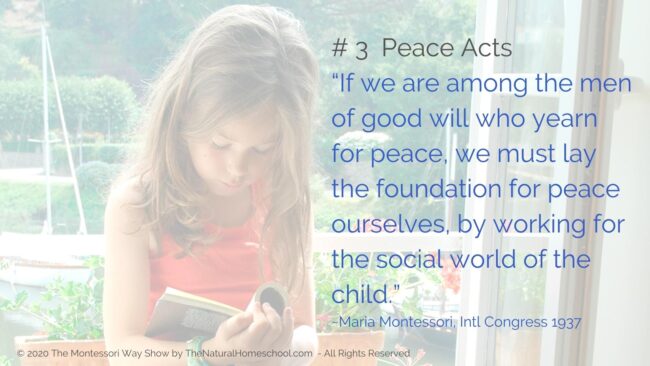 Practical Life: Fostering Peace the Montessori Way [Live Training] In this post, live training and podcast episode, I am going to give you 3 tips to: teach, model and grow peace in our lives the Montessori way. #montessoricurriculum3-6 #themontessoriway #practicallife #howtoexplainpeacetoachild