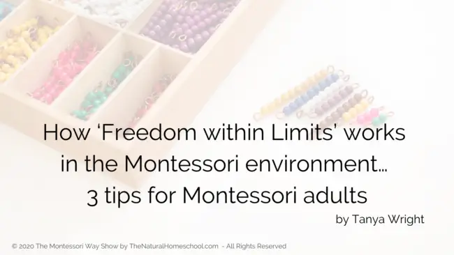 Come to learn about 3 positive outcomes for children in the Montessori environment that will either encourage you to try Montessori or to know that you are on the right track!