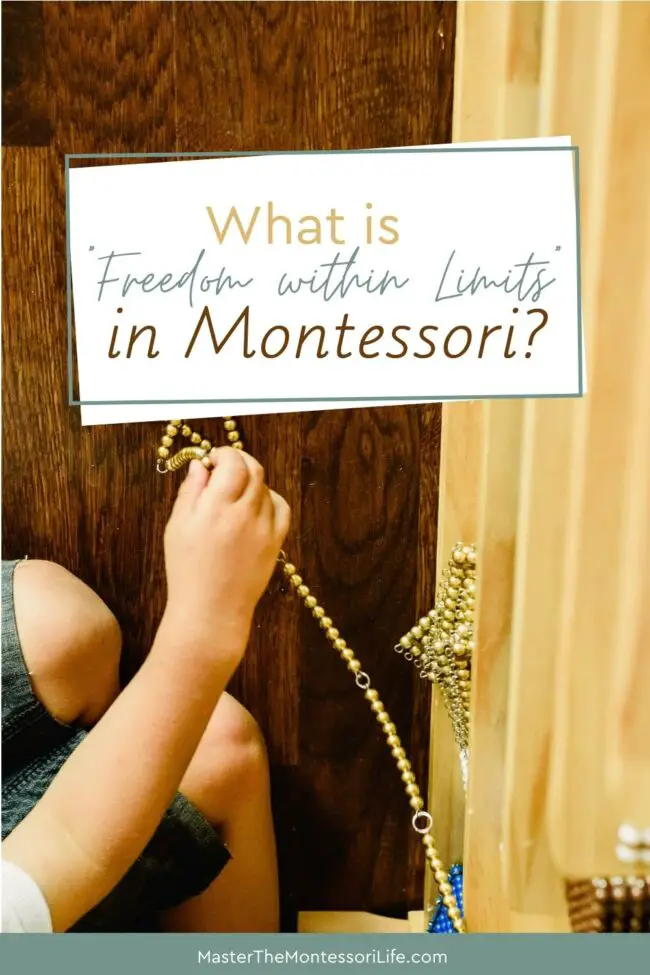 Freedom Within Limits' in the Montessori Environment Come and find out how freedom within limits works for discipline in children.