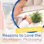 If you are new to the philosophy, you will fall in love with it and if you are a seasoned Montessorian, it will make you love it even more!