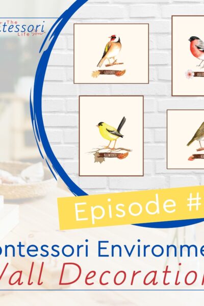 Are you wondering how to decorate your Montessori environment that align with the Montessori principles? Then you can't miss this training!