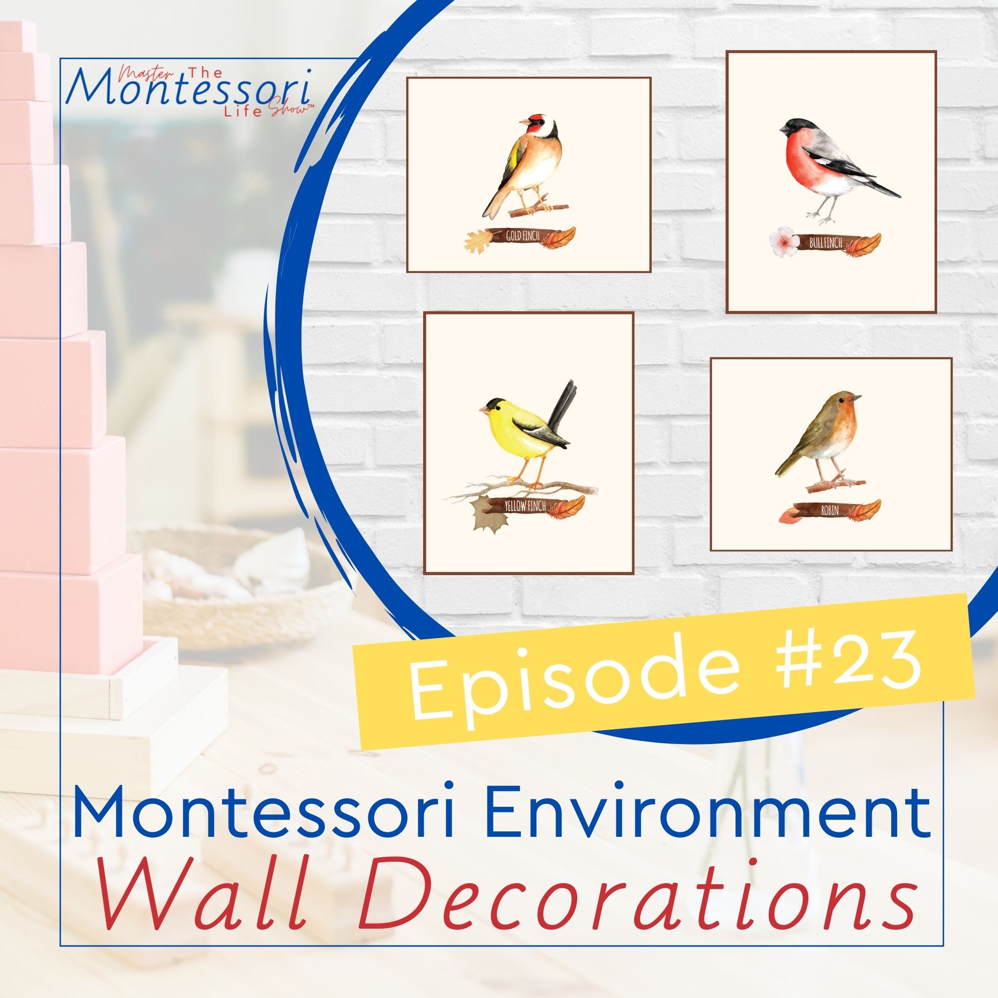 Episode 23: Montessori Environment Wall Decorations