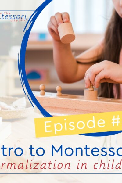 In this episode, let's discuss what Montessori normalization is, why it is important, what are some typical behaviors of normalized children and what are some things that you can do to help shortcut normalization in the children you work with.