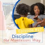 In this training, I will give you three very important categories in discipline to pay attention to in order to do discipline the Montessori way.