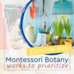 Master the Montessori Life Show