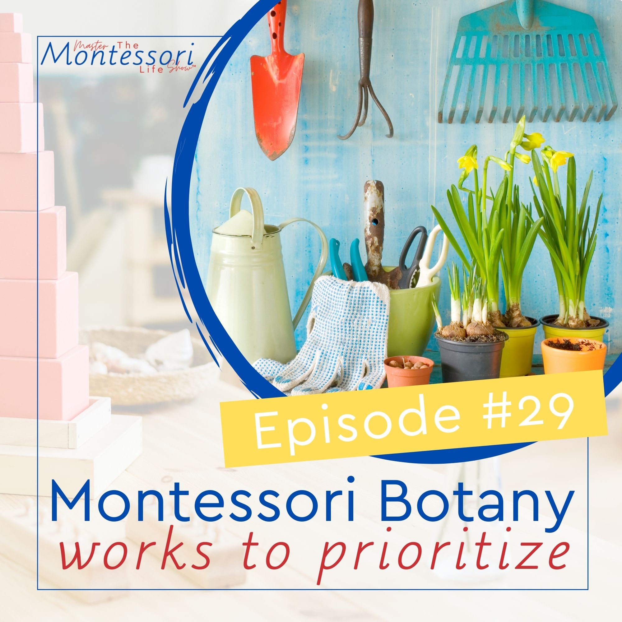 Episode 29: Montessori Botany Works to Prioritize