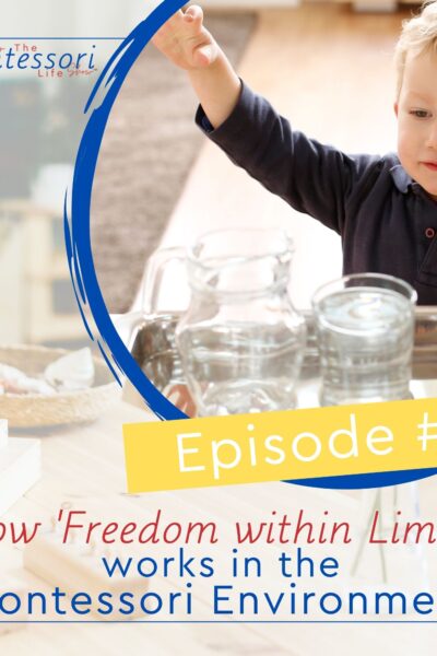 Freedom Within Limits' in the Montessori Environment Come and find out how freedom within limits works for discipline in children.