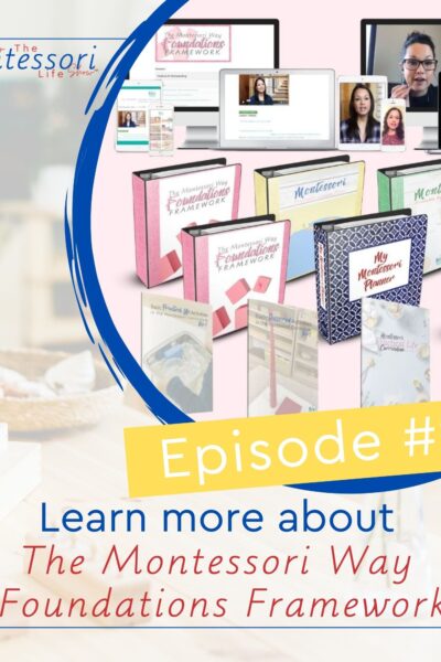 A 6-month journey to a firm foundation in the Montessori philosophy that includes personalized coaching, video lessons, PDFs, lesson plans, printables and more!