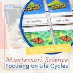 In this training, we will be focusing on how to go about using life cycle activities for Montessori Science, whether it is Botany or Zoology.