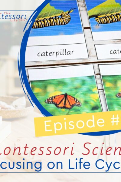 In this training, we will be focusing on how to go about using life cycle activities for Montessori Science, whether it is Botany or Zoology.