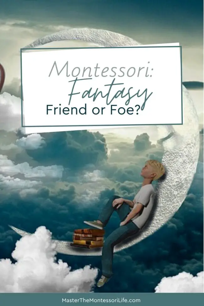 Come and decide if, after you read and watch, you think whether Montessori is a fantasy friend or foe.