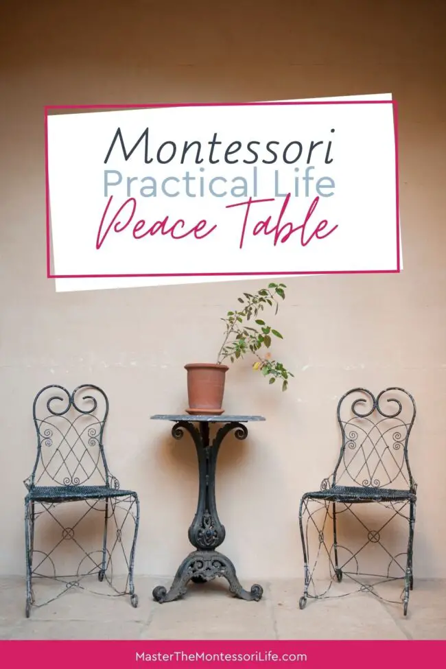 Montessori Practical Life Peace Table - Master the Montessori Life