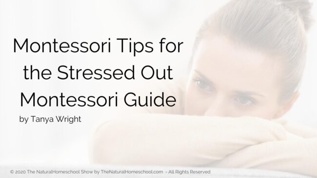 Today, we’re going to be talking about you being The Montessori Guide, what that means and what you can expect to take on as your responsibilities.