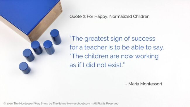 maria montessori quotes on practical life