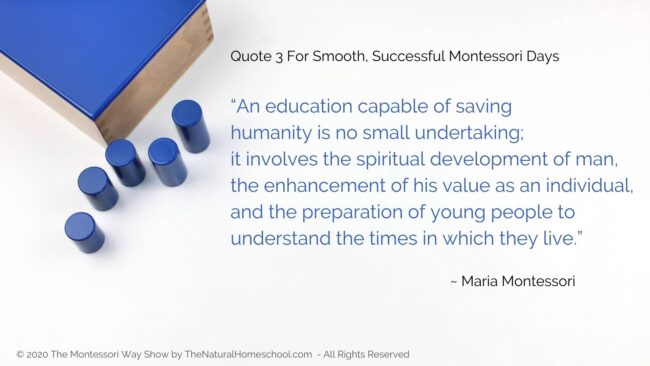 In this post, live show recording and podcast episode, I am going to share with you 3 favorite Montessori quotes for you to ponder on and learn more about this lovely philosophy. 