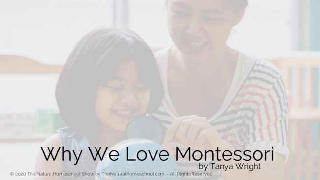 If you are new to the philosophy, you will fall in love with it and if you are a seasoned Montessorian, it will make you love it even more!