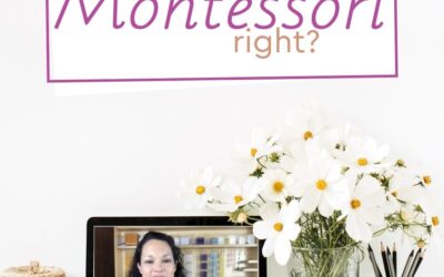 Do you need help in doing Montessori right?