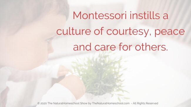 If you are new to the philosophy, you will fall in love with it and if you are a seasoned Montessorian, it will make you love it even more!