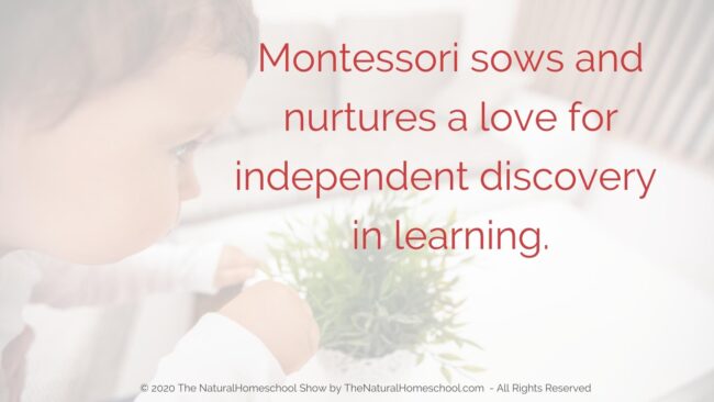 Episode 14: 3 Reasons to Love the Montessori Philosophy