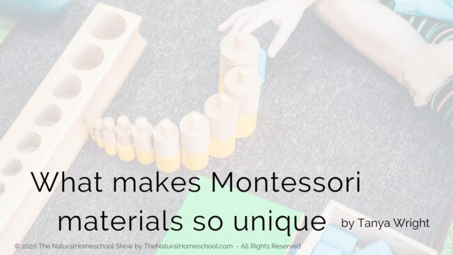 Do you feel lost when it comes to Montessori materials? Do you have questions as to why they are so different from traditional school materials? Let's discuss that fun topic. Don't miss it!