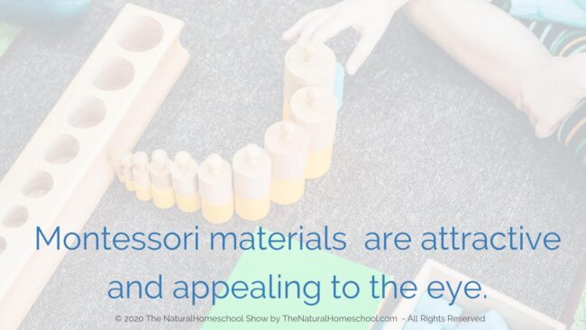 When it comes to Montessori materials, they will set themselves apart for their beauty, usability, durability and educational value.