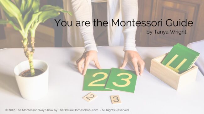 There's a lot that must happen internally before we can flourish to become a centered, organized Montessori Guide as you nurture happy, normalized children. What do you know about… limiting beliefs as the Montessori Guide?