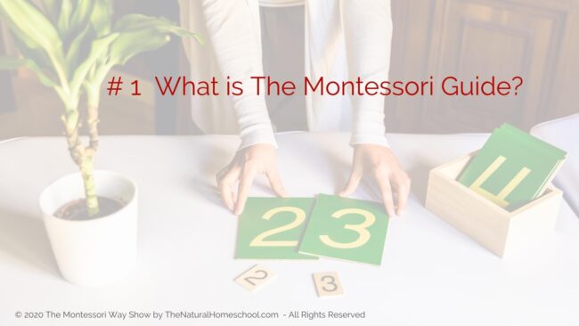 Today, we’re going to be talking about you being The Montessori Guide, what that means and what you can expect to take on as your responsibilities.