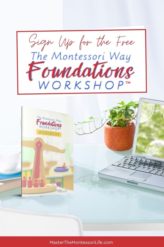 In this post, we will be discussing why you should attend the free 5-day training called "The Montessori Way Foundations Workshop."
