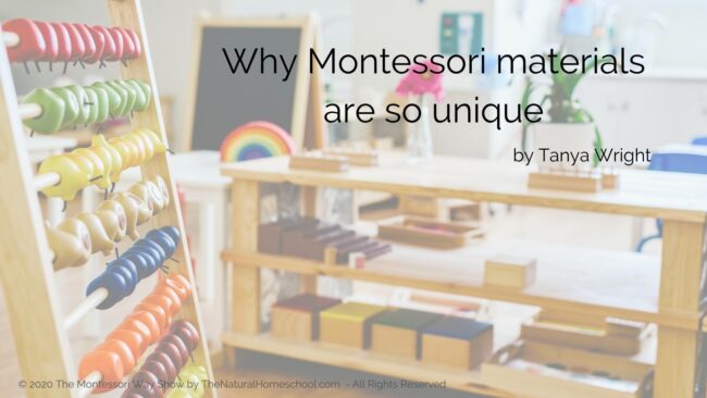 Here is the activity that will solve so much of your overwhelm whe it comes to combining Montessori subjects for multiple uses!