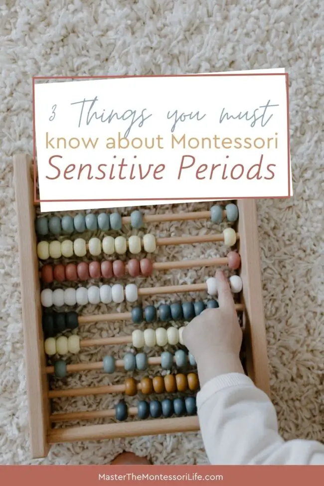 In this training, we are going to discuss 3 things that you must know when it comes to Montessori Sensitive Periods so you can go about it right!