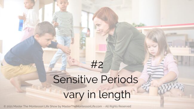 In this training, we are going to discuss 3 things that you must know when it comes to Montessori Sensitive Periods so you can go about it right!