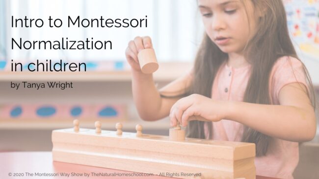 In this training, let me share with you why I don't worry about knowing everything about Montessori before getting started.