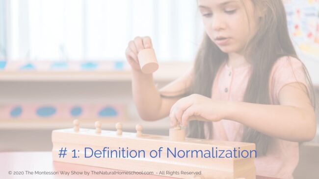 Let's discuss what Montessori normalization is, why it is important, what are some typical behaviors of normalized children and what are some things that you can do to help shortcut normalization in the children you work with.