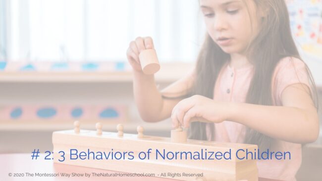 Let's discuss what Montessori normalization is, why it is important, what are some typical behaviors of normalized children and what are some things that you can do to help shortcut normalization in the children you work with.