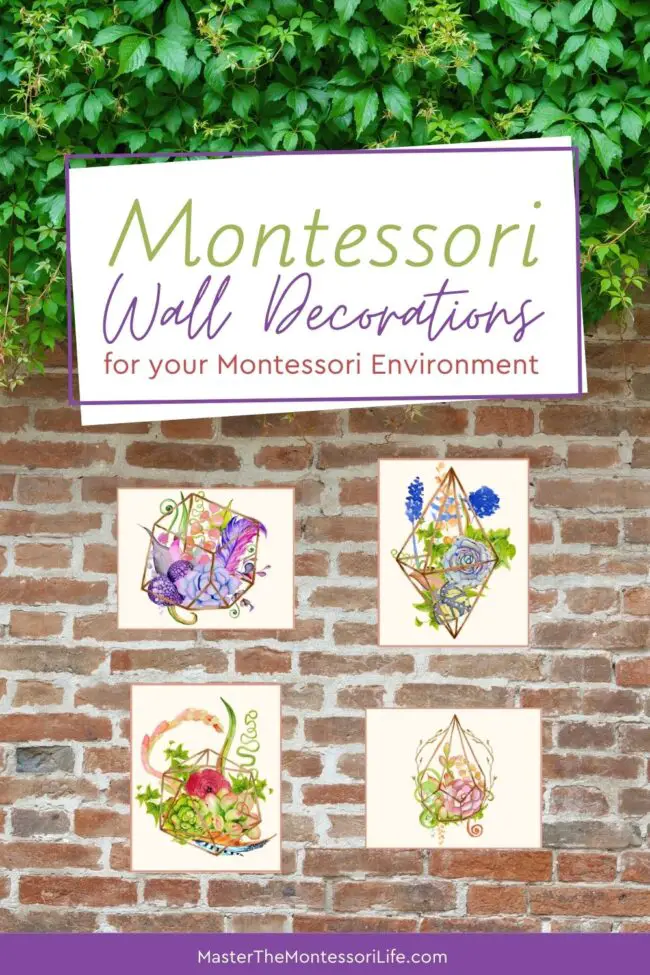 Do you want to know how to decorate your Montessori environment in a way that is consistent with the Montessori principles? Read on.