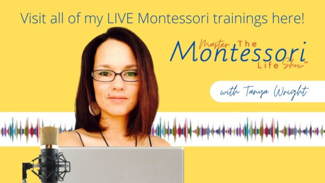 In this training, I am going to be discussing three qualities that Montessori Sensorial materials and lessons must have. 