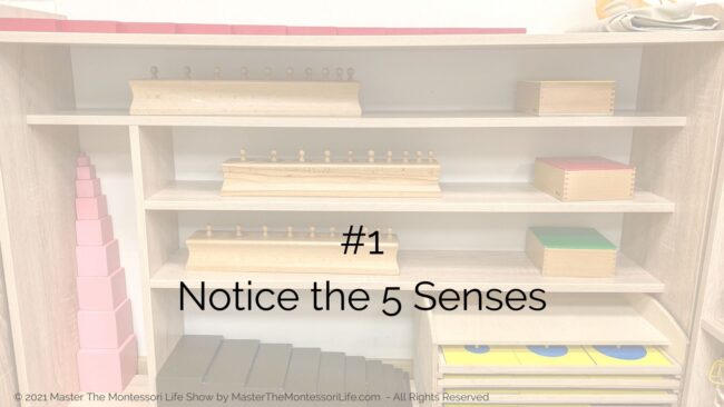 In this training, I am going to be discussing three qualities that Montessori Sensorial materials and lessons must have. 