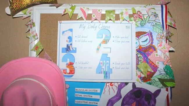 Do you have family chores at home? What about individual ones for each child to do? Do you have several family members that have daily responsibilities in your home? Whether you have older kids or younger ones, we will be discussing what you can do to make chores easier and more doable.