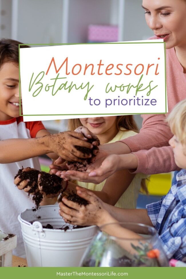 In this training, we are bringing the concept of a branch in Science that studies plants to life: Botany activities in Montessori.