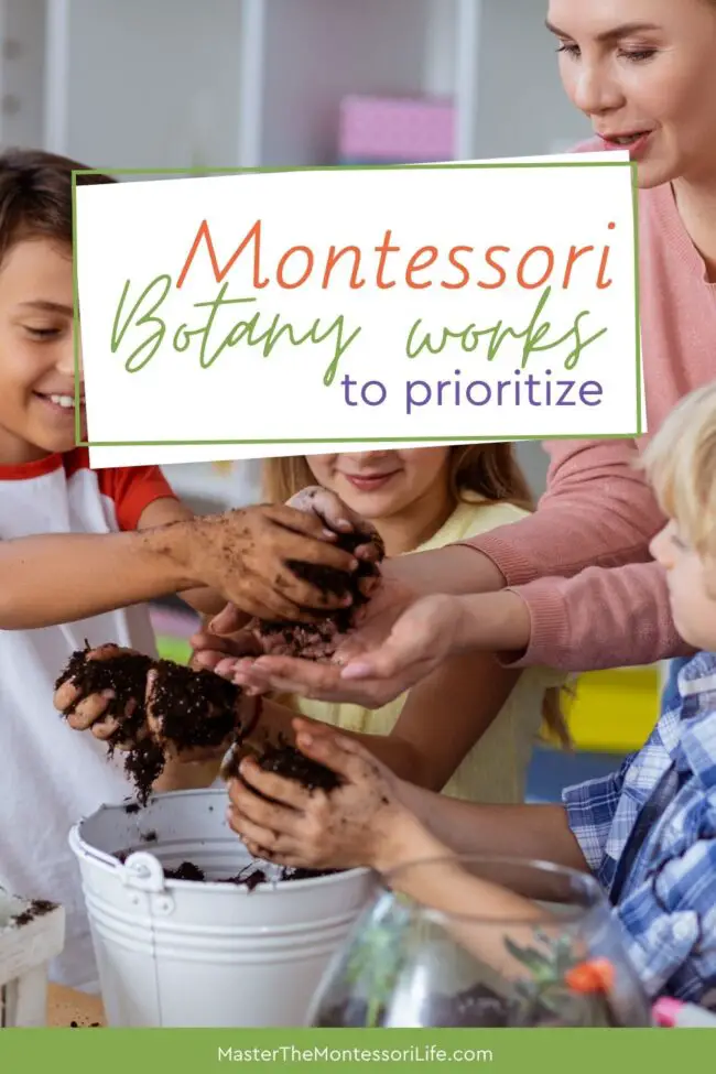 In this training, we are bringing the concept of a branch in Science that studies plants to life: Botany activities in Montessori.