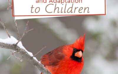 Introduce Hibernation, Migration and Adaptation to Children