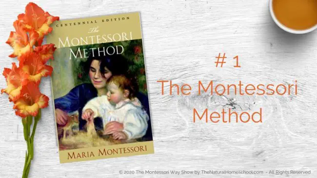 In this training, we will be talking about 3 of the best Montessori books that you MUST have and why!