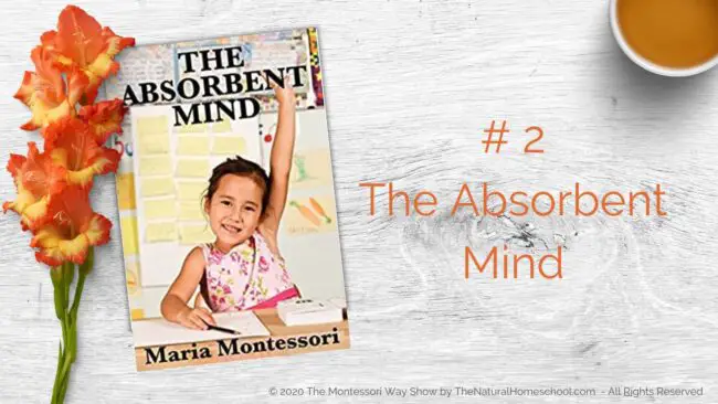 In this training, we will be talking about 3 of the best Montessori books that you MUST have and why!