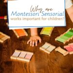 In this training we will answer an essential question: Why are Montessori sensorial works so important for children? 