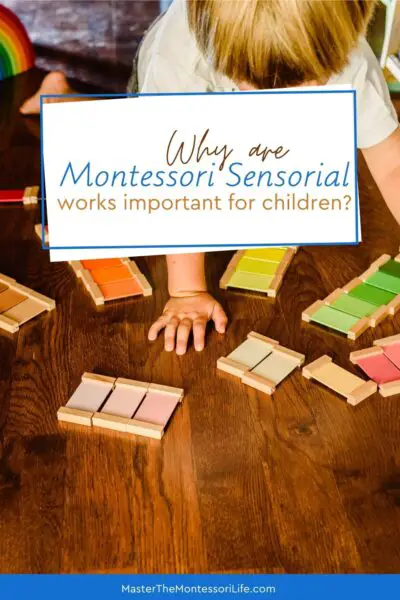 In this training we will answer an essential question: Why are Montessori sensorial works so important for children? 