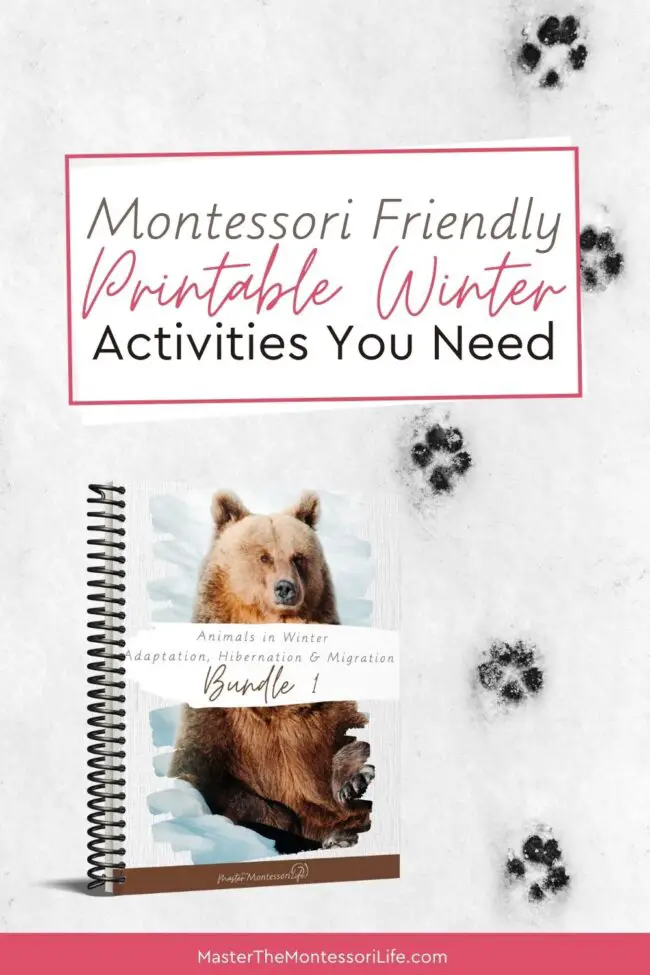 Come and find out how you can easily celebrate Winter by incorporating Montessori friendly printable activities about animals in Winter that children will love!